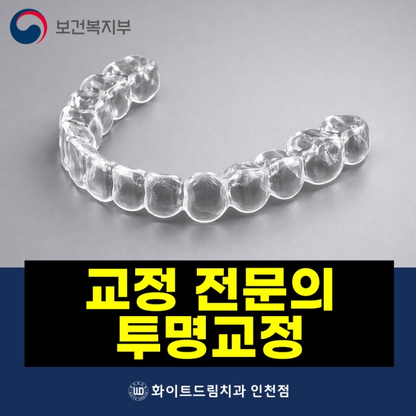 교정 전문의 투명교정
